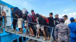 Polsek Tambak Bongkar Jaringan Narkoba Bawean, 5 Orang Diamankan