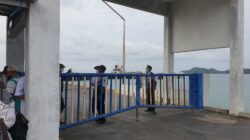 Oknum Petugas THL Dishub Jatim di Pelabuhan Bawean, Diduga Memalak Pengelola APMs