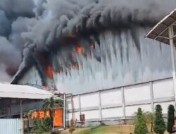 Pabrik Kayu Di Gresik Terbakar, 6 Unit Mobil Damkar Diterjunkan