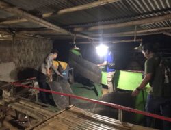 Lokasi Diduga Tempat Arena Sabung Ayam di Sidayu Gresik Digrebek Polisi