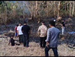 Kebakaran Semak Belukar di Bawean, Satu Orang Ditemukan Tewas