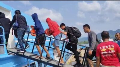 IMG 20241112 WA00021