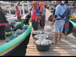 Serunya Berburu Ikan Layang di Kampung Dedawang Bawean