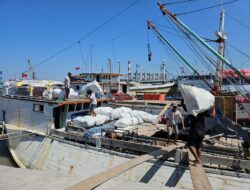 Ketidakpastian Bawa Muatan, Pelra Gresik Minta Pemerintah Berikan Solusi Agar Bisa Terus Beroperasi