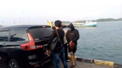 IMG 20260211 WA00001