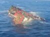 Dihantam Gelombang Tinggi, Kapal Tugboat Tenggelam di Perairan Bawean, 8 ABK Bertahan di Tongkang yang Hanyut